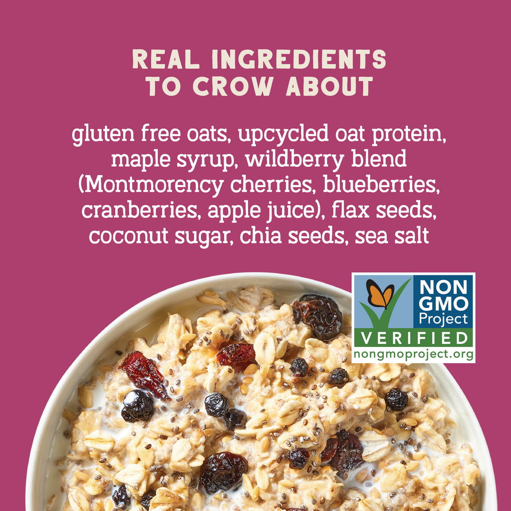 Wildberry Protein Oats, 16oz