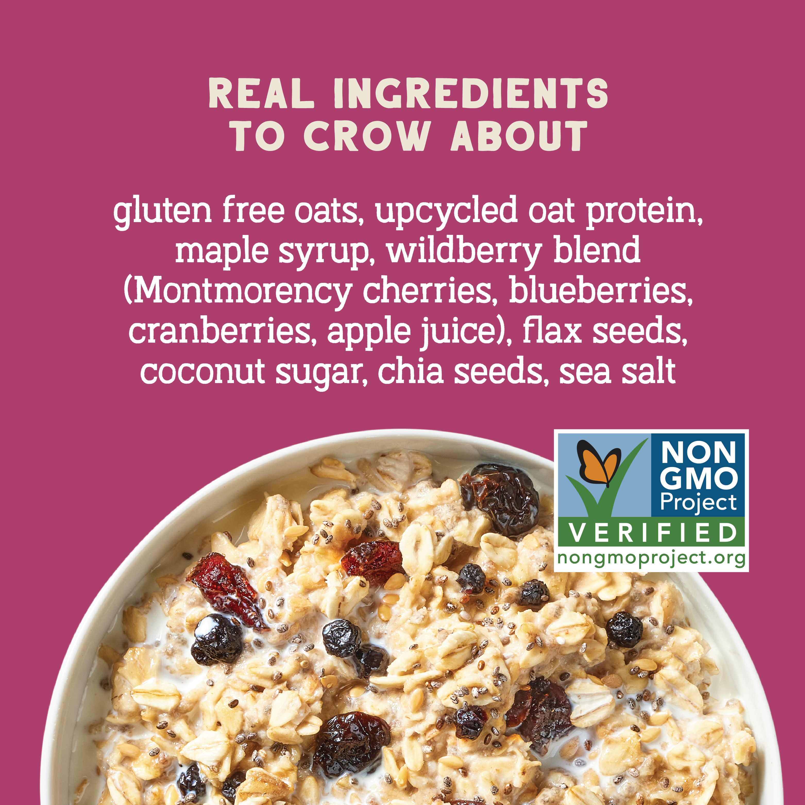 Wildberry Protein Oats, 16oz