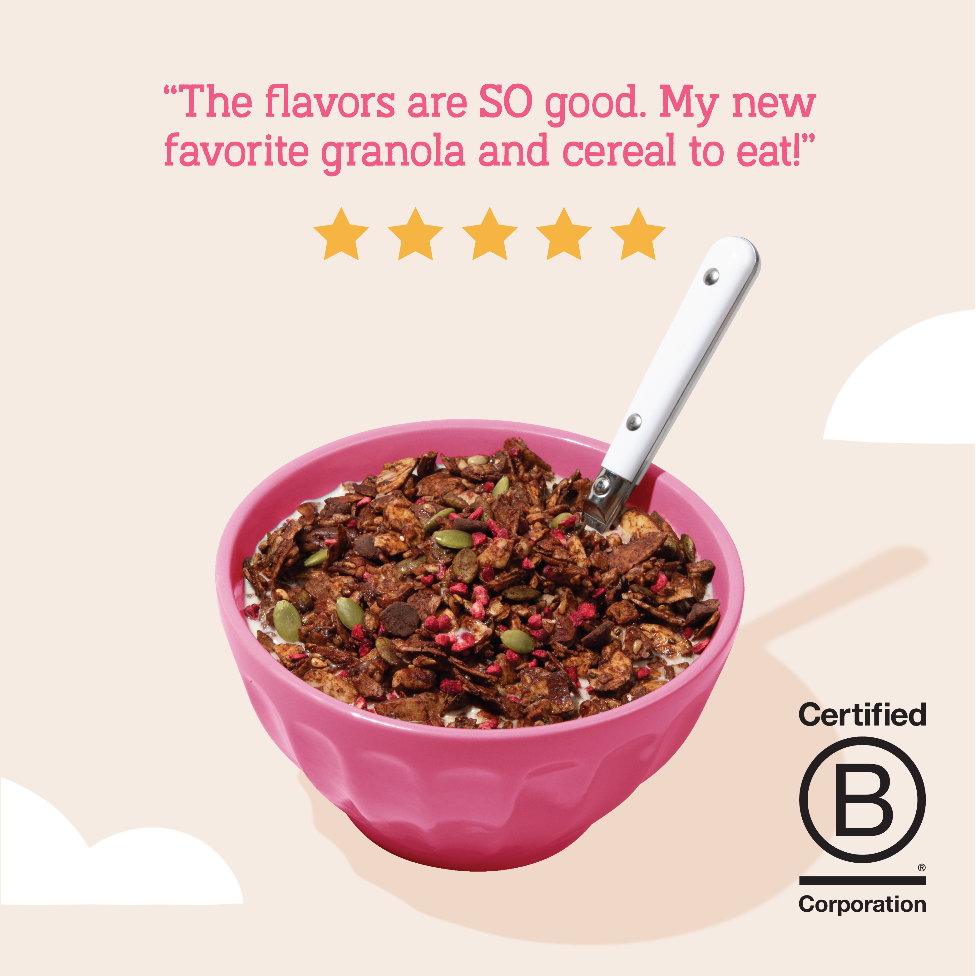 Day Dream Chocolate Raspberry Grain-Free Granola, 8oz