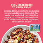 Day Dream Chocolate Raspberry Grain-Free Granola, 8oz