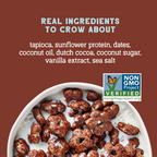 Real Cocoa Sunflower Cereal 18oz